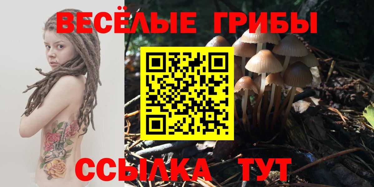 Галлюциногенные грибы Psilocybine cubensis  Вход с VPN  Прокопьевск 